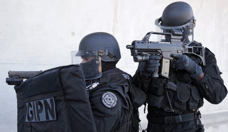LE GIPN (Groupe d&rsquo;Intervention de la Police Nationale)