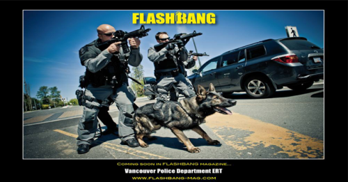 Flashbang magazine