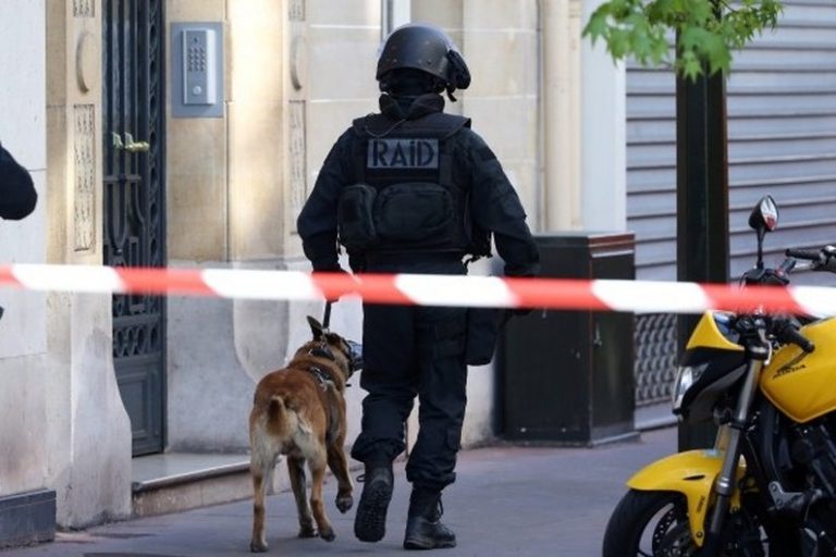 Chiens d&rsquo;assaut et parfaits auxiliaires de police