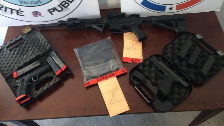 Vosges : des armes saisies lors d&rsquo;une enquête… récupérées par le RAID !