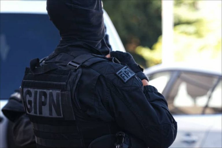 Le GIPN Réunion intègre le RAID