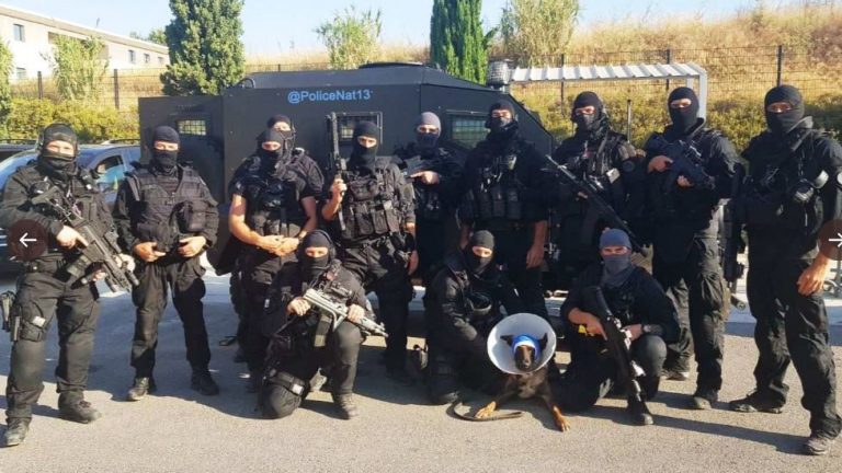 Cooper, le chien d&rsquo;assaut du RAID grièvement blessé en opération à Marseille