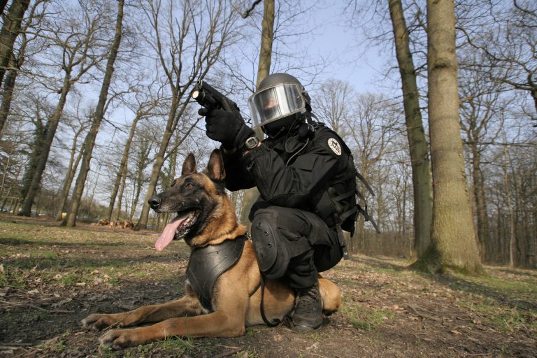 Les chiens d&rsquo;assaut du RAID