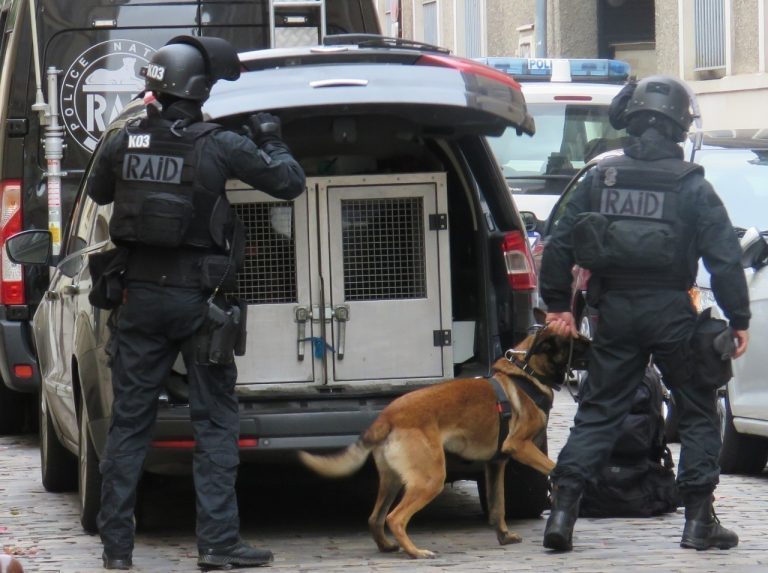 Poissy : un forcené poignarde le chien des policiers d&rsquo;élite du RAID