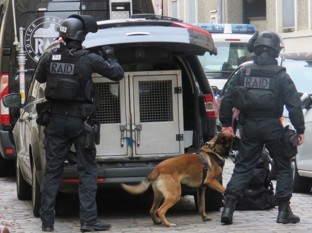 Poissy : un forcené poignarde le chien des policiers d’élite du RAID