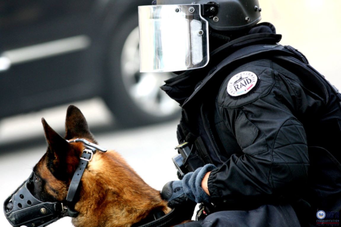 Toulouse. Un témoin alerte la police suite à des détonations : le RAID interpelle deux hommes armés