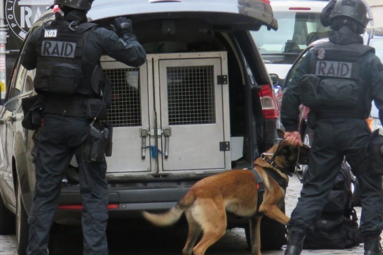Yvelines. Trois hommes arrêtés lors du canular à la prise d&rsquo;otages à Vélizy 2