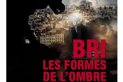 BRI, les formes de l’ombre (mai 2021) de Philippe Deparis