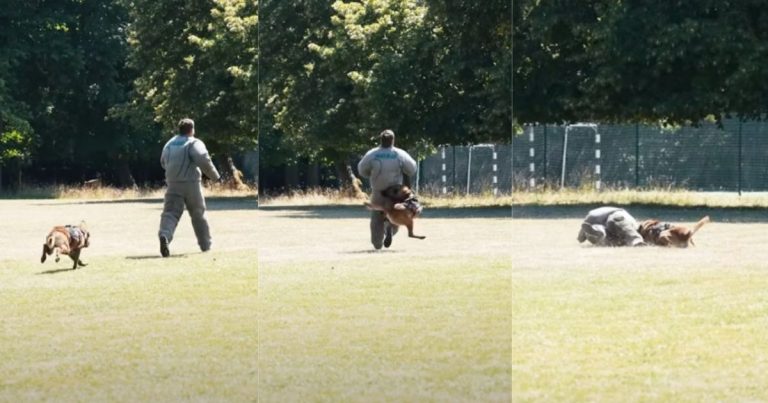 Baptiste Jauneau pris en chasse par un chien du RAID.