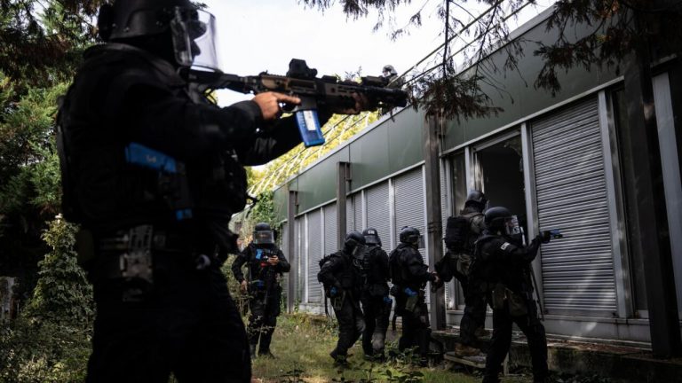 Corps calciné retrouvé dans le Gard : huit personnes interpellées par le RAID.